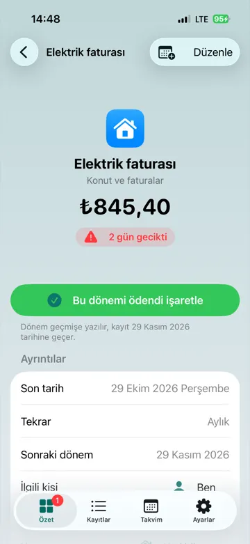 Payment detail: electricity bill, 2 days overdue, with the mark this period as paid button